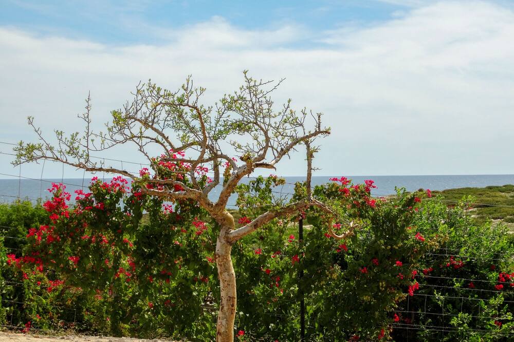 Photo of Outdoor in La Fortuna