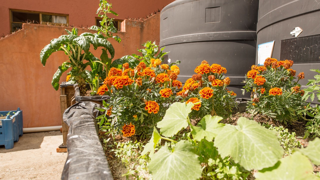Photo of Outdoor in Guanajuato