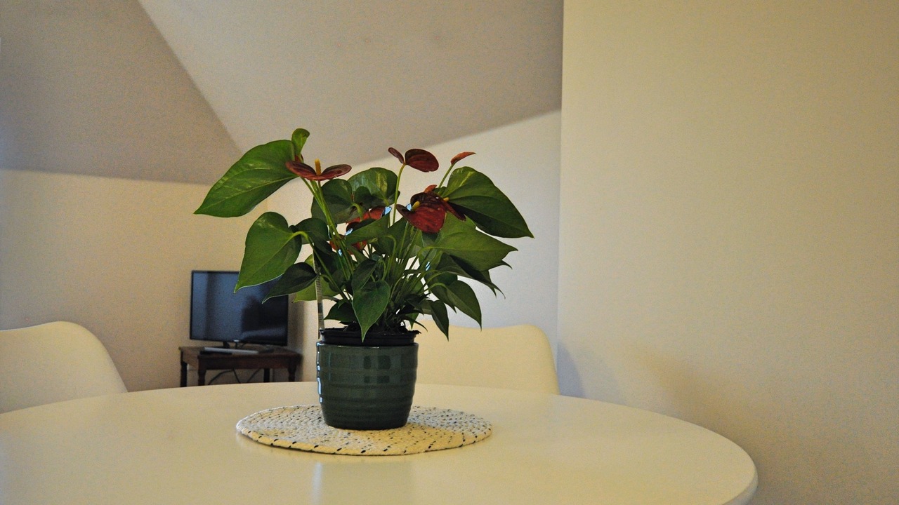 Photo of Bedroom in Warkworth