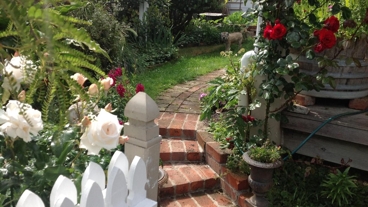 Photo of Outdoor in Picton