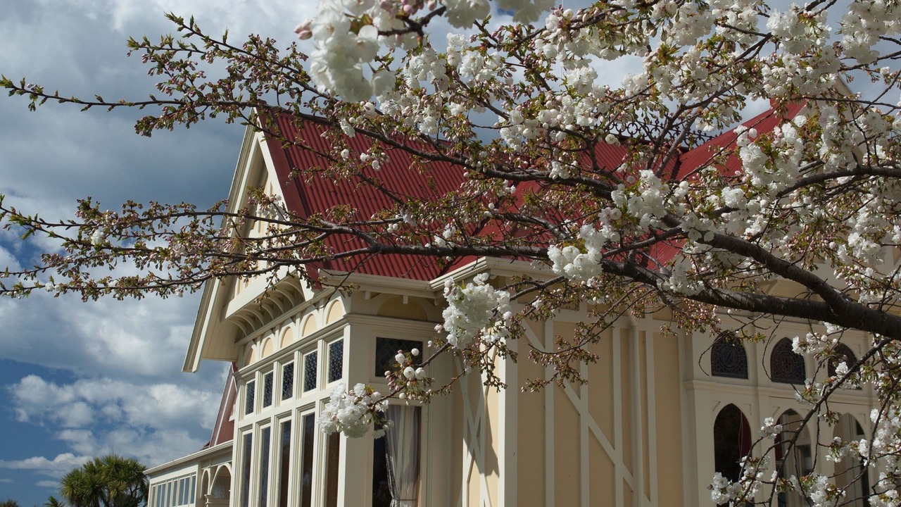 Photo of Outdoor in Oamaru