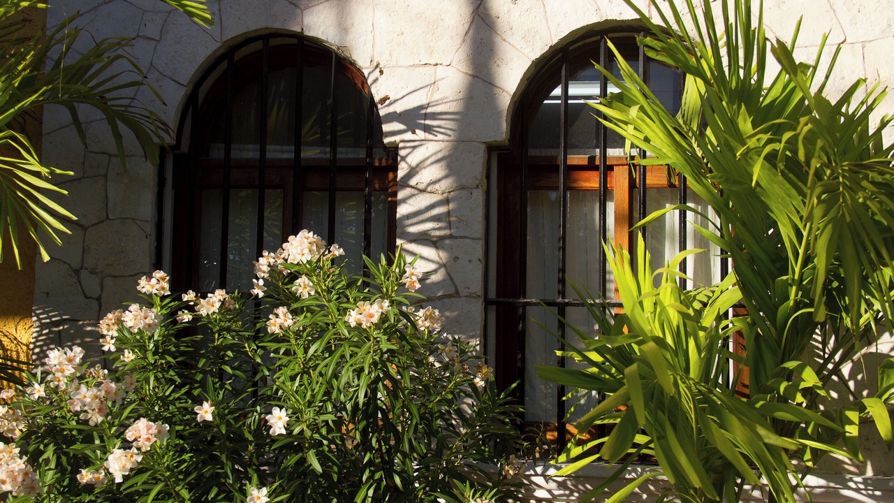 Photo of Outdoor in Downtown