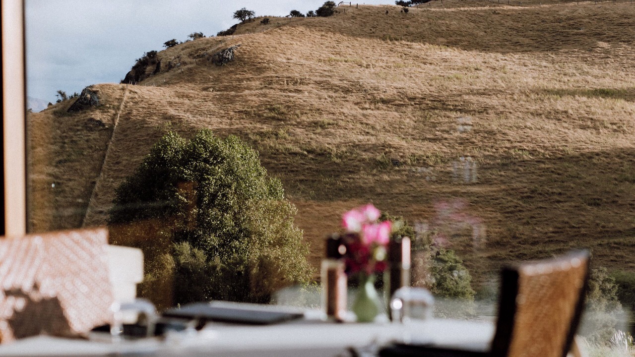 Photo of Others in Manapouri