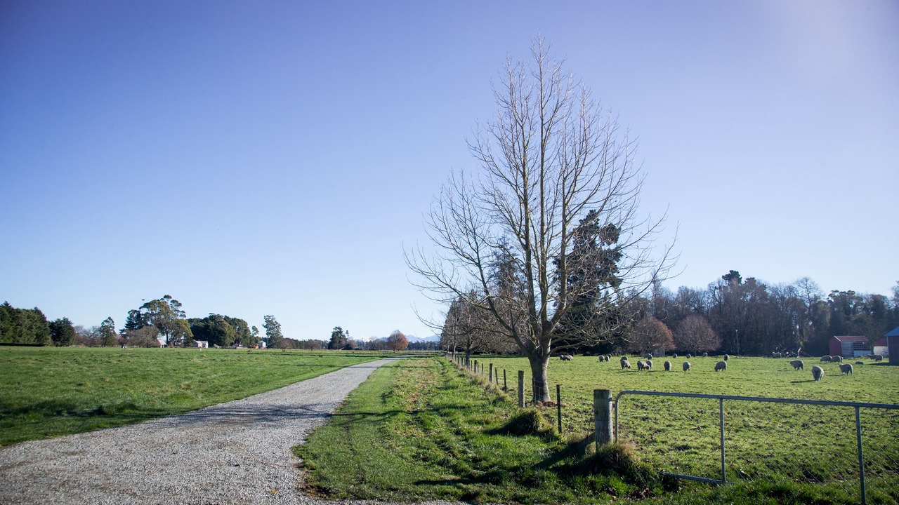 Photo of Outdoor in Coldstream