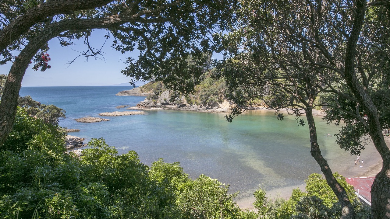 Photo of Others in Waiheke Island
