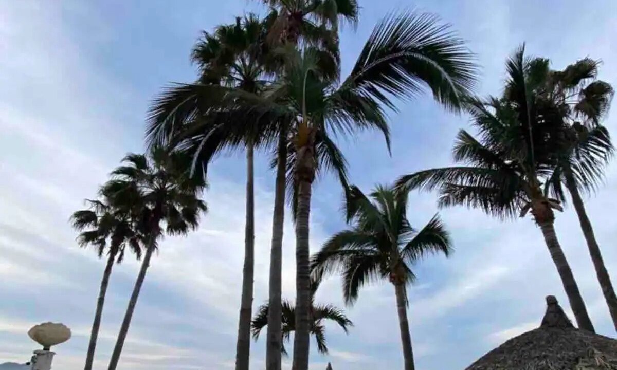 Photo of Outdoor in Quintas del Mar