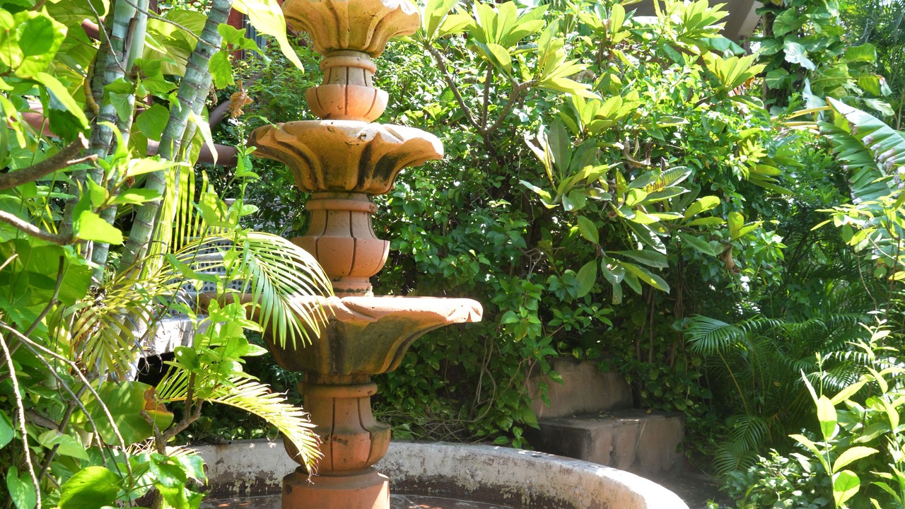 Photo of Outdoor in Playa la Madera