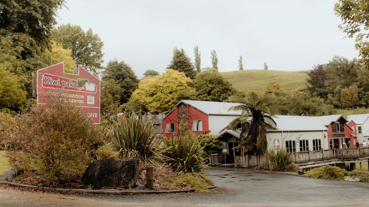 Photo of Outdoor in Waitomo Caves