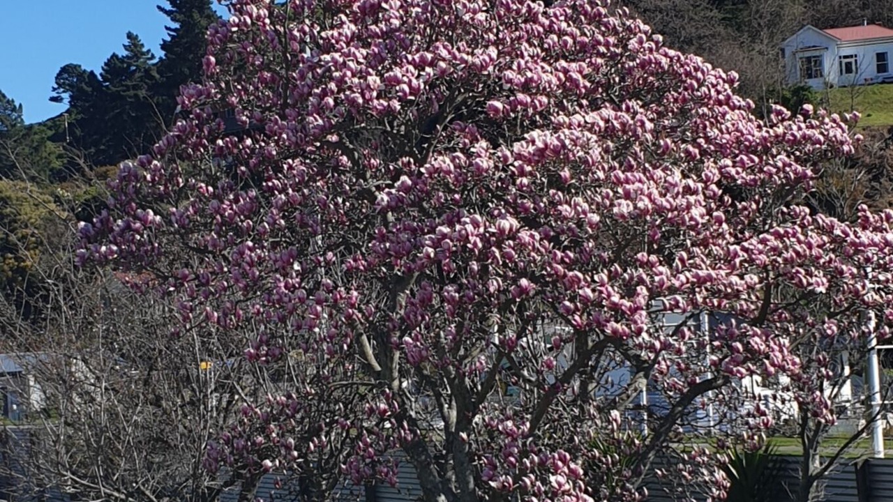 Photo of Outdoor in Picton