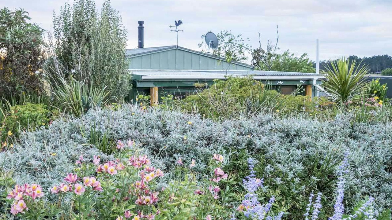 Photo of Outdoor in Wayby