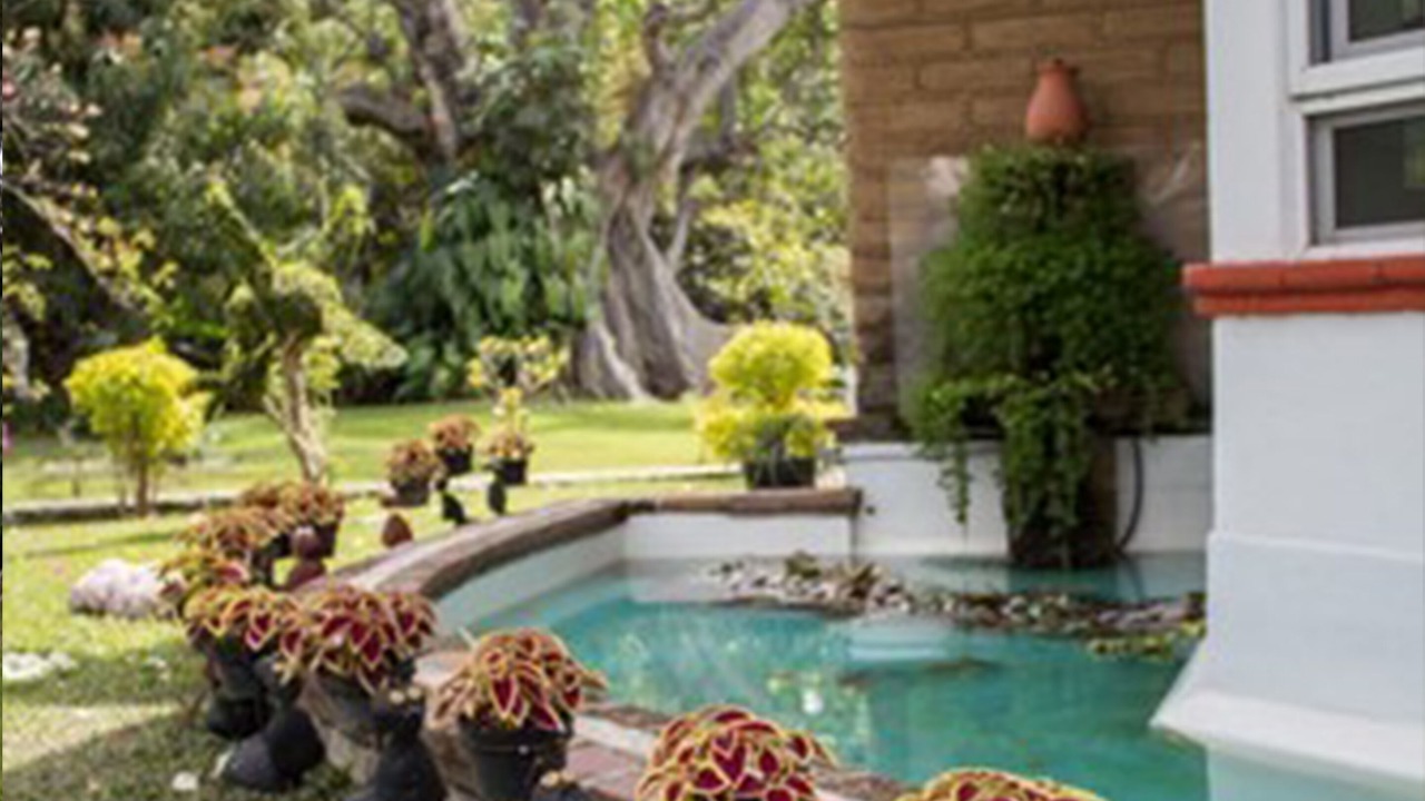 Photo of Outdoor in Oaxtepec