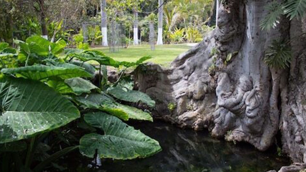 Photo of Outdoor in Oaxtepec