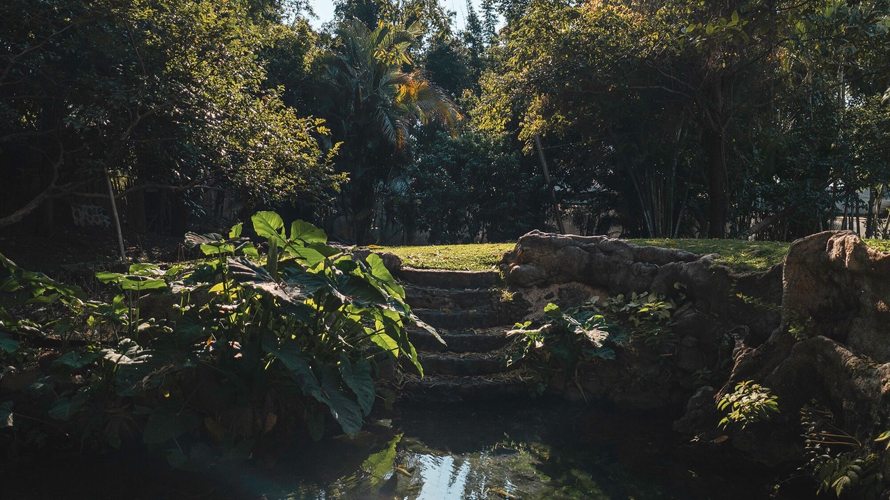 Photo of Outdoor in Oaxtepec