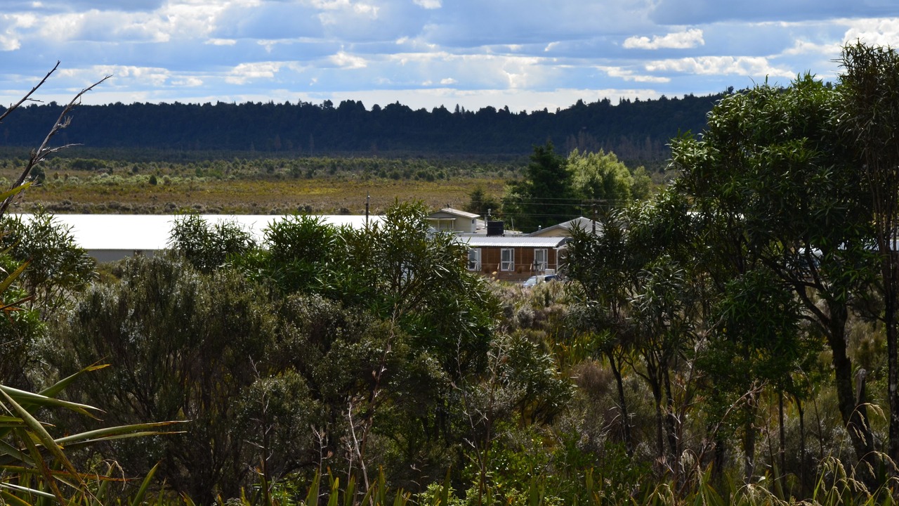 Photo of Outdoor in Tongariro National Park