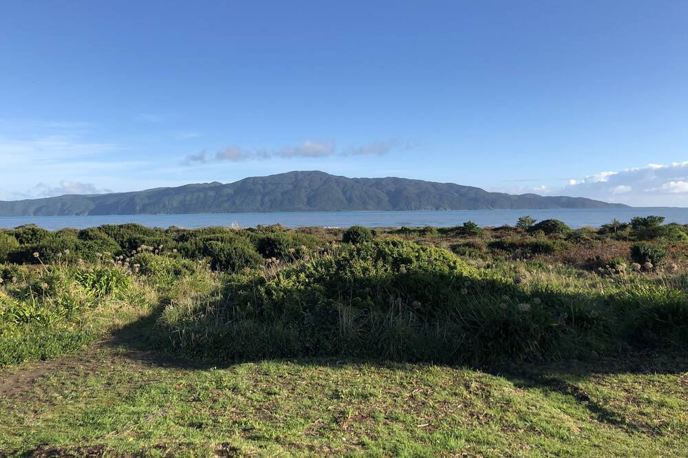 Photo of Others in Paraparaumu Beach