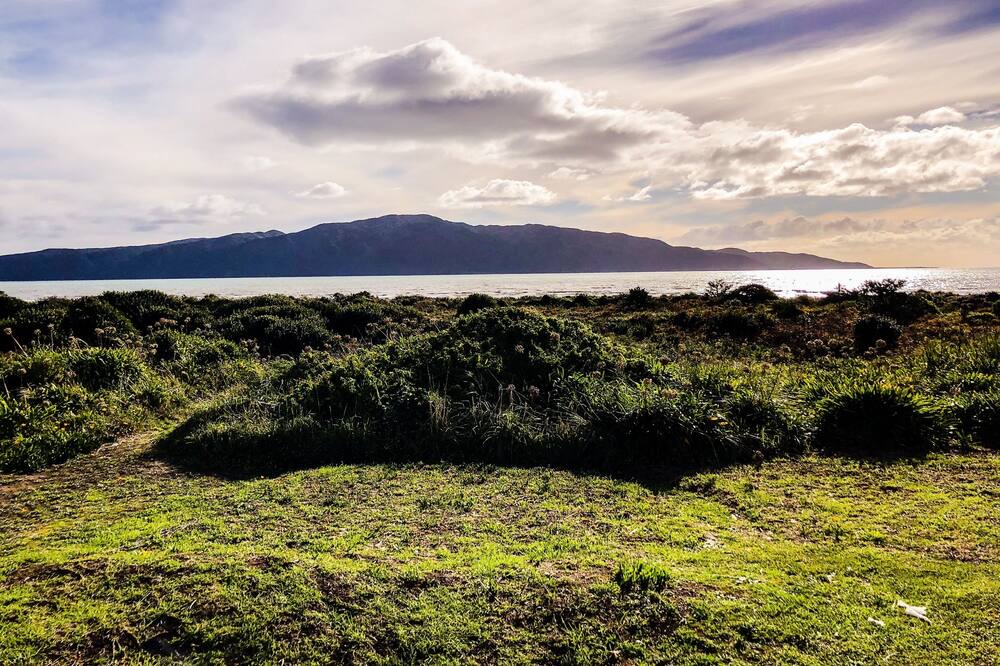 Photo of Others in Paraparaumu Beach