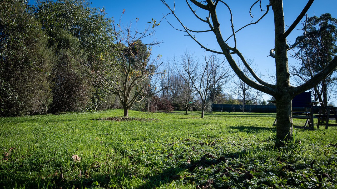 Photo of Outdoor in Ohaupo