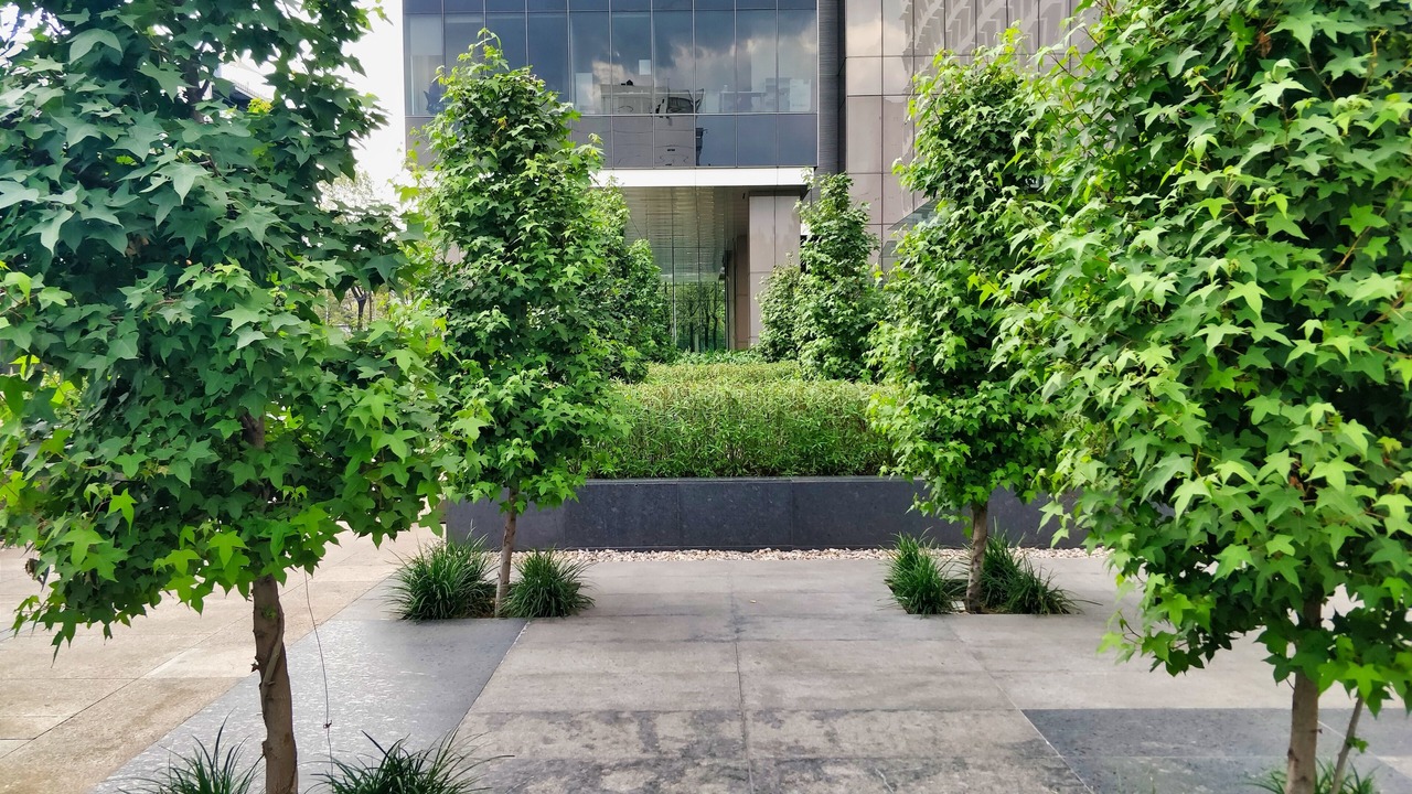 Photo of Outdoor in Granada