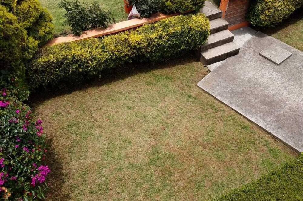 Photo of Outdoor in El Oro