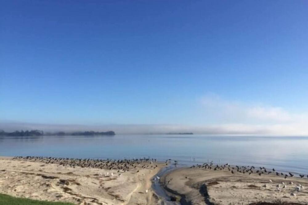 Photo of Others in Clarks Beach