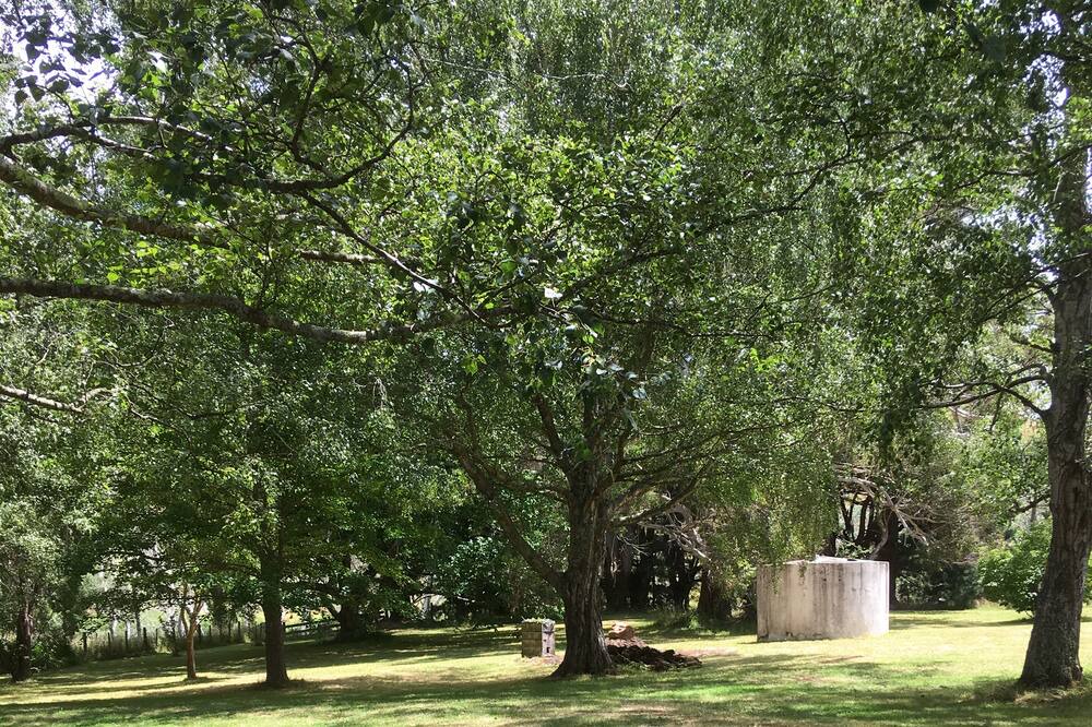 Photo of Outdoor in Wairarapa