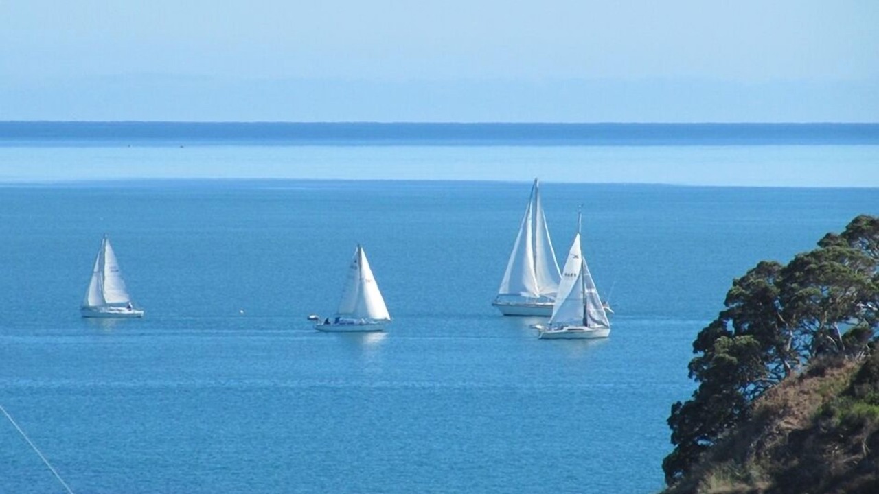 Photo of Others in Coopers Beach