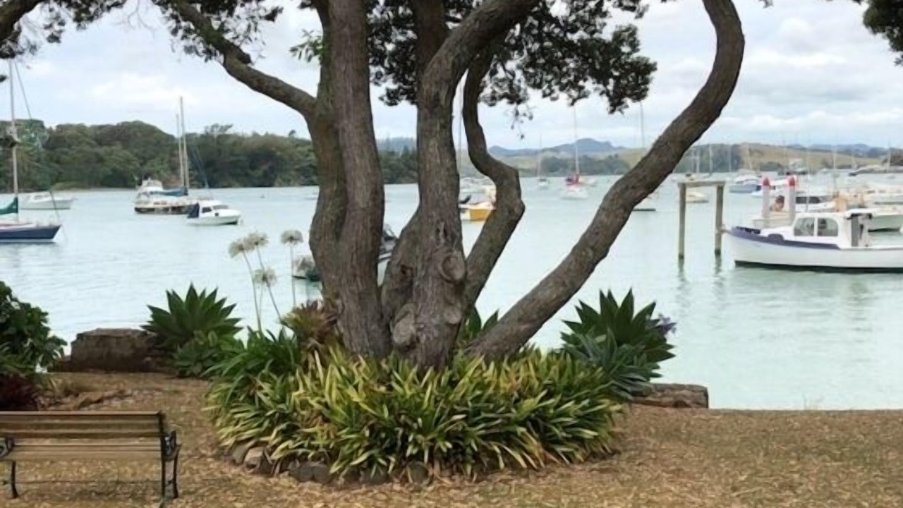 Photo of Others in Coopers Beach