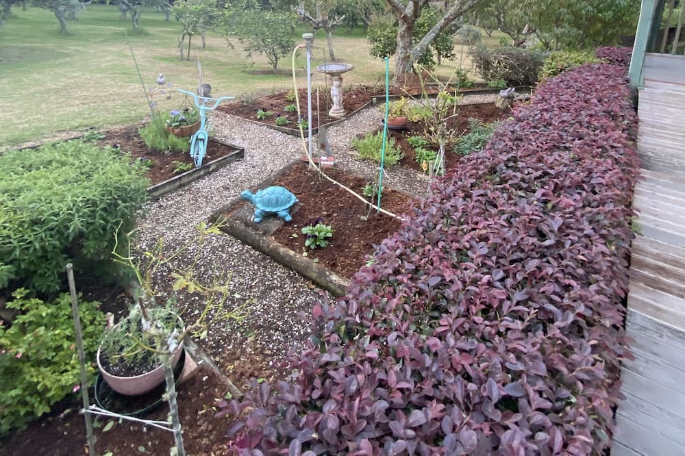 Photo of Outdoor in Kerikeri