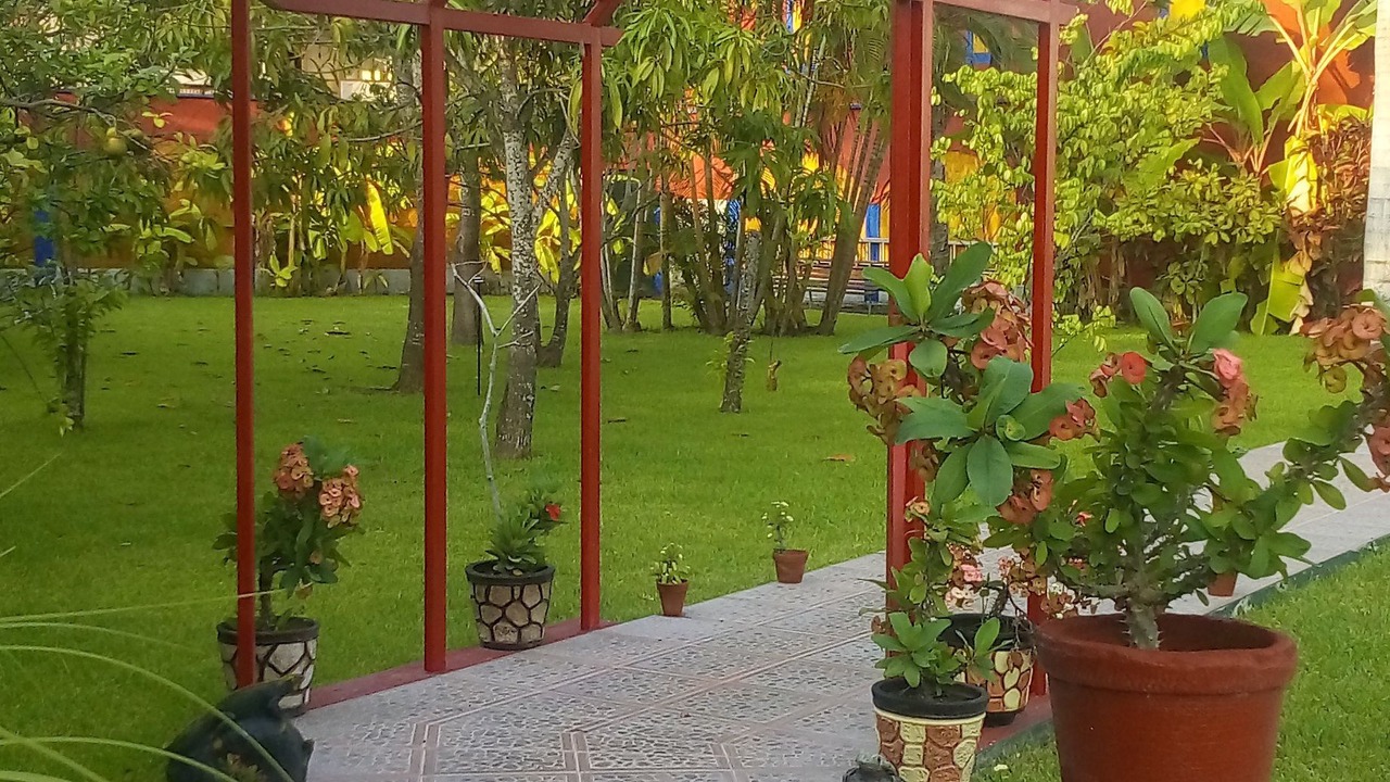 Photo of Outdoor in Sin Nombre Loc. San Blas