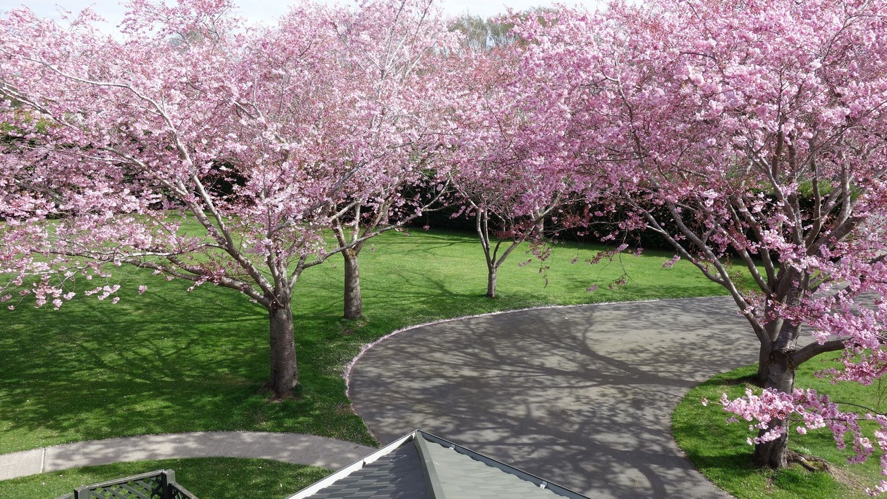Photo of Outdoor in Northwood