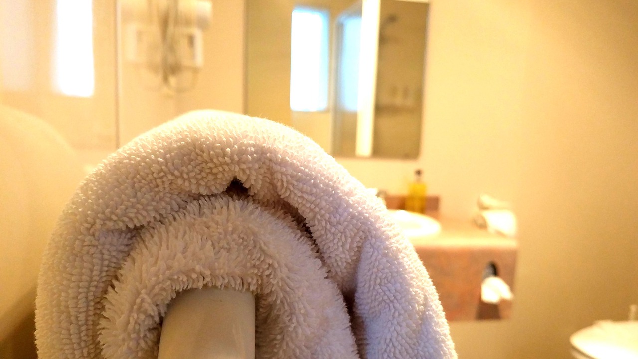 Photo of Bathroom in Palmerston North