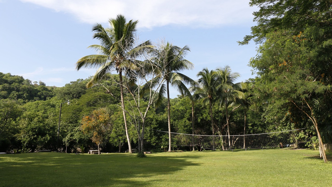 Photo of Outdoor in Apazapan