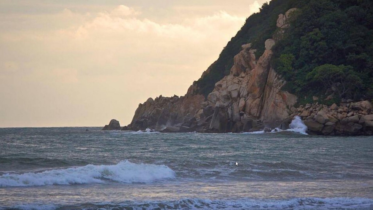 Photo of Others in Playa Diamante