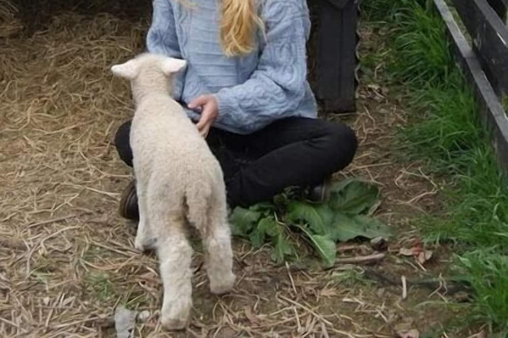Photo of Others in Hastings