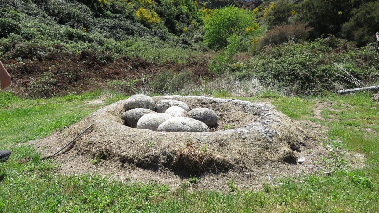 Photo of Outdoor in Taupo