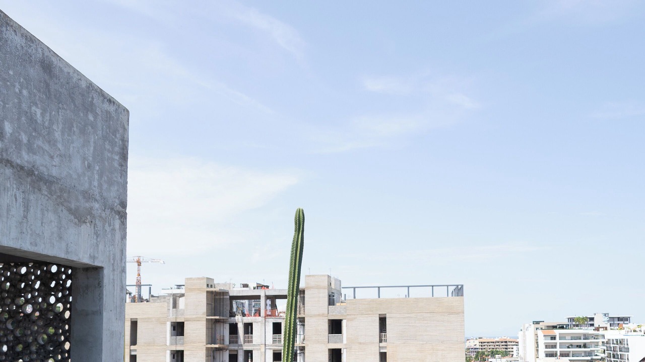 Photo of Outdoor in Emiliano Zapata