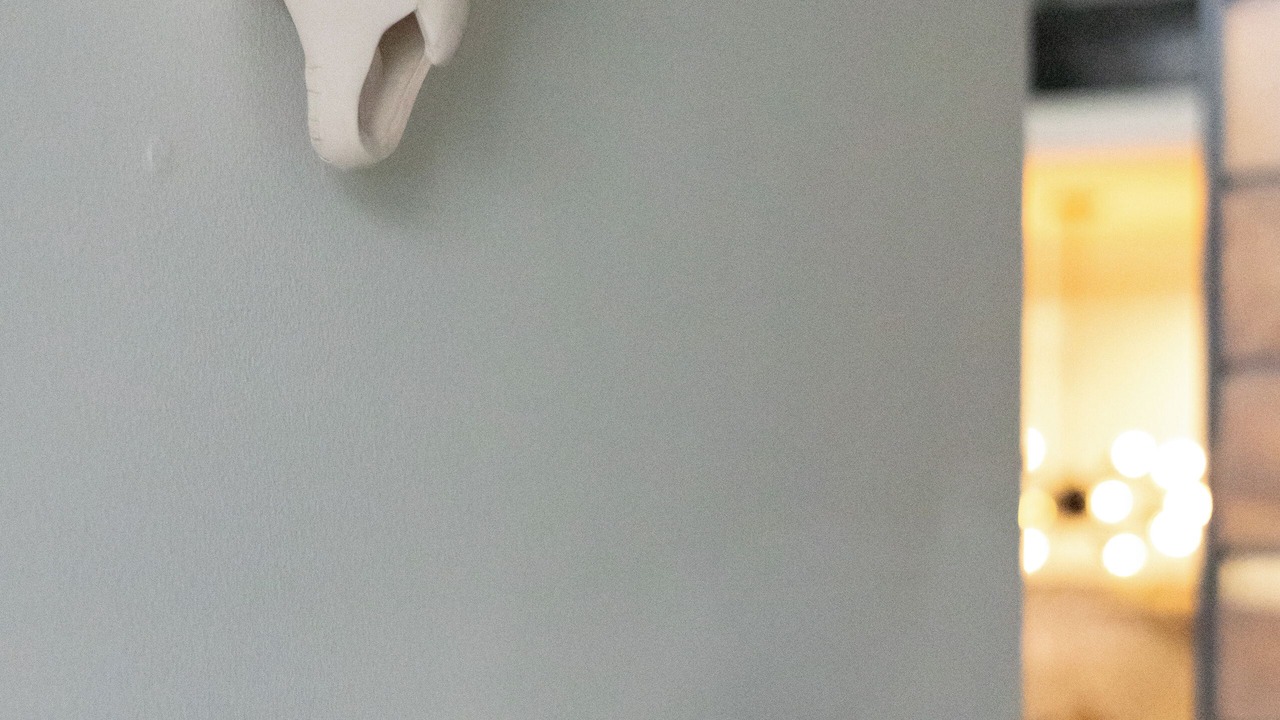 Photo of Bathroom in Emiliano Zapata