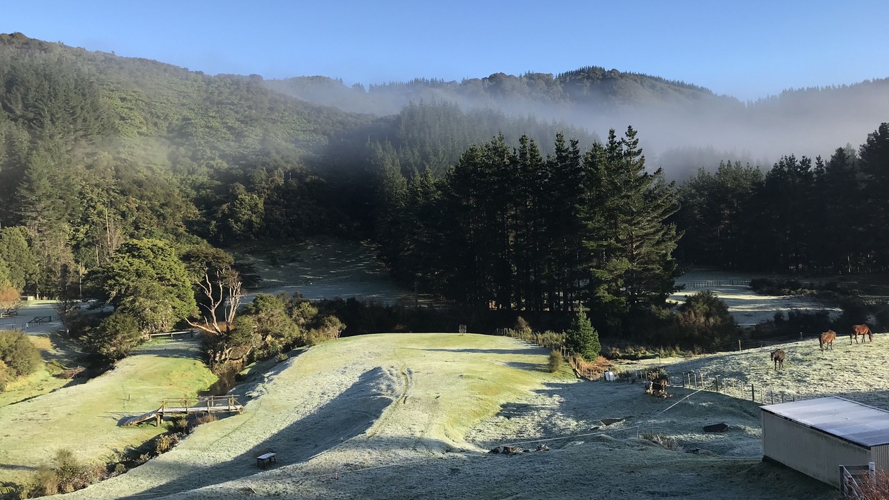 Photo of Outdoor in Lower Hutt