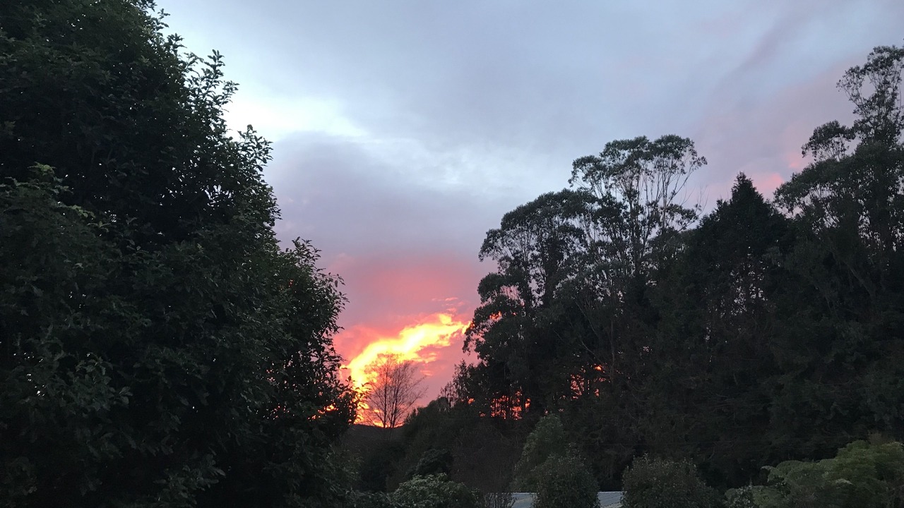 Photo of Outdoor in Lower Hutt