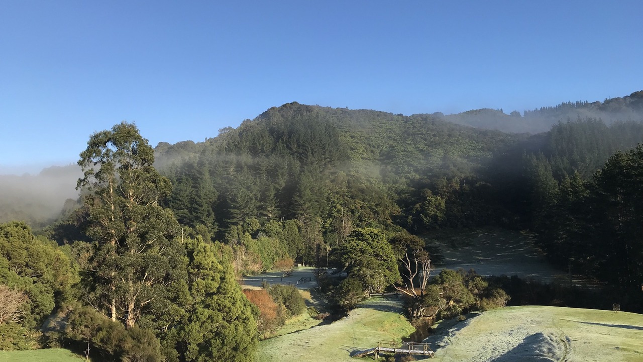 Photo of Outdoor in Lower Hutt