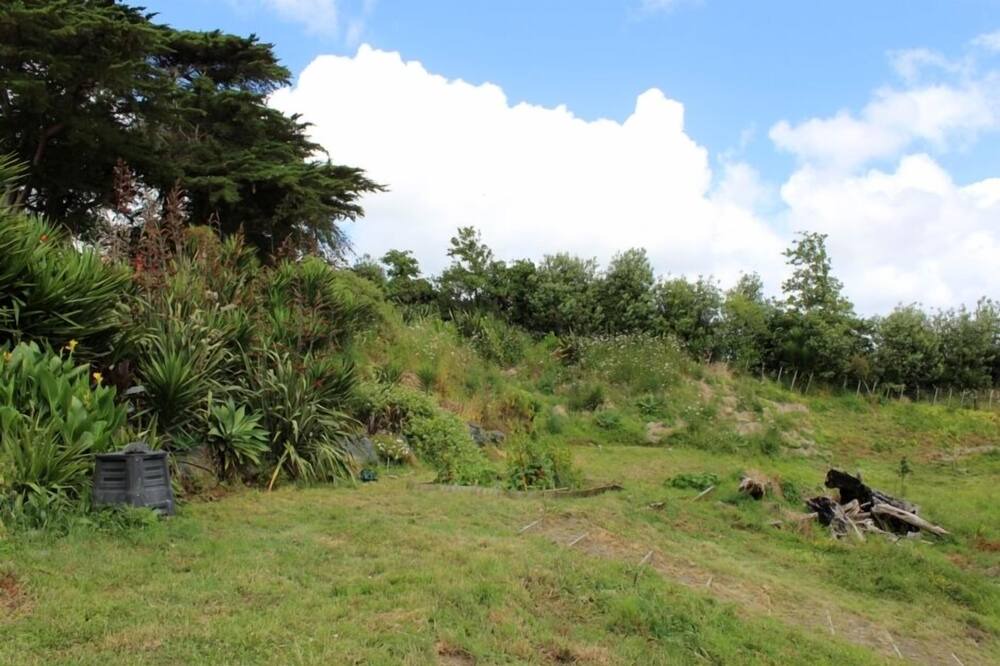 Photo of Others in Kaiwaka