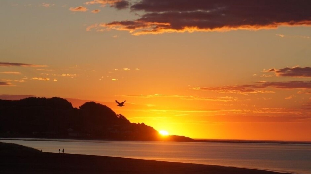 Photo of Outdoor in Raglan