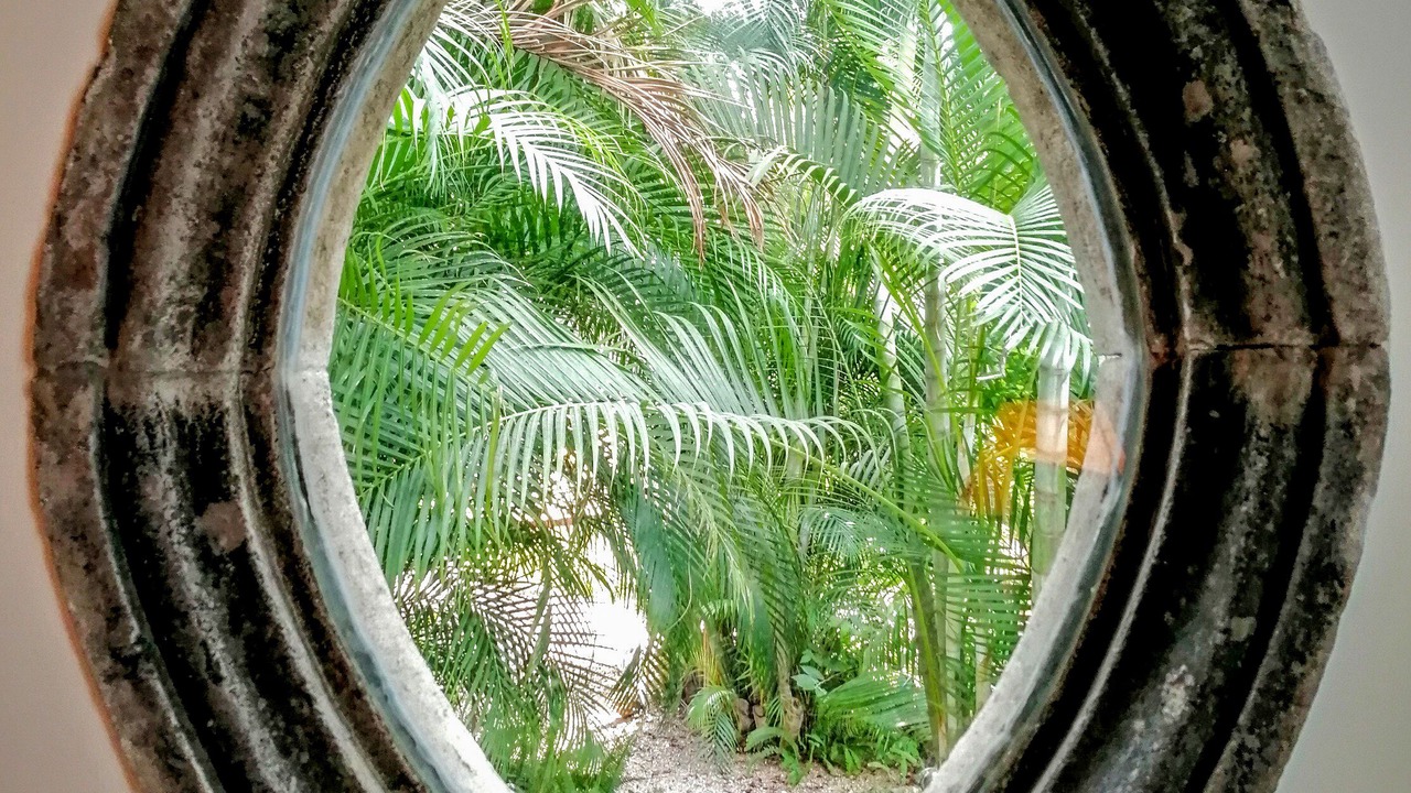Photo of Bedroom in Xochitepec