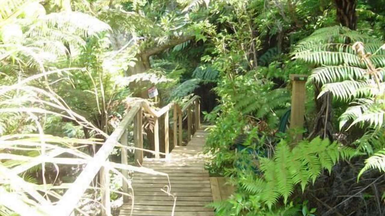 Photo of Outdoor in Kawau Island