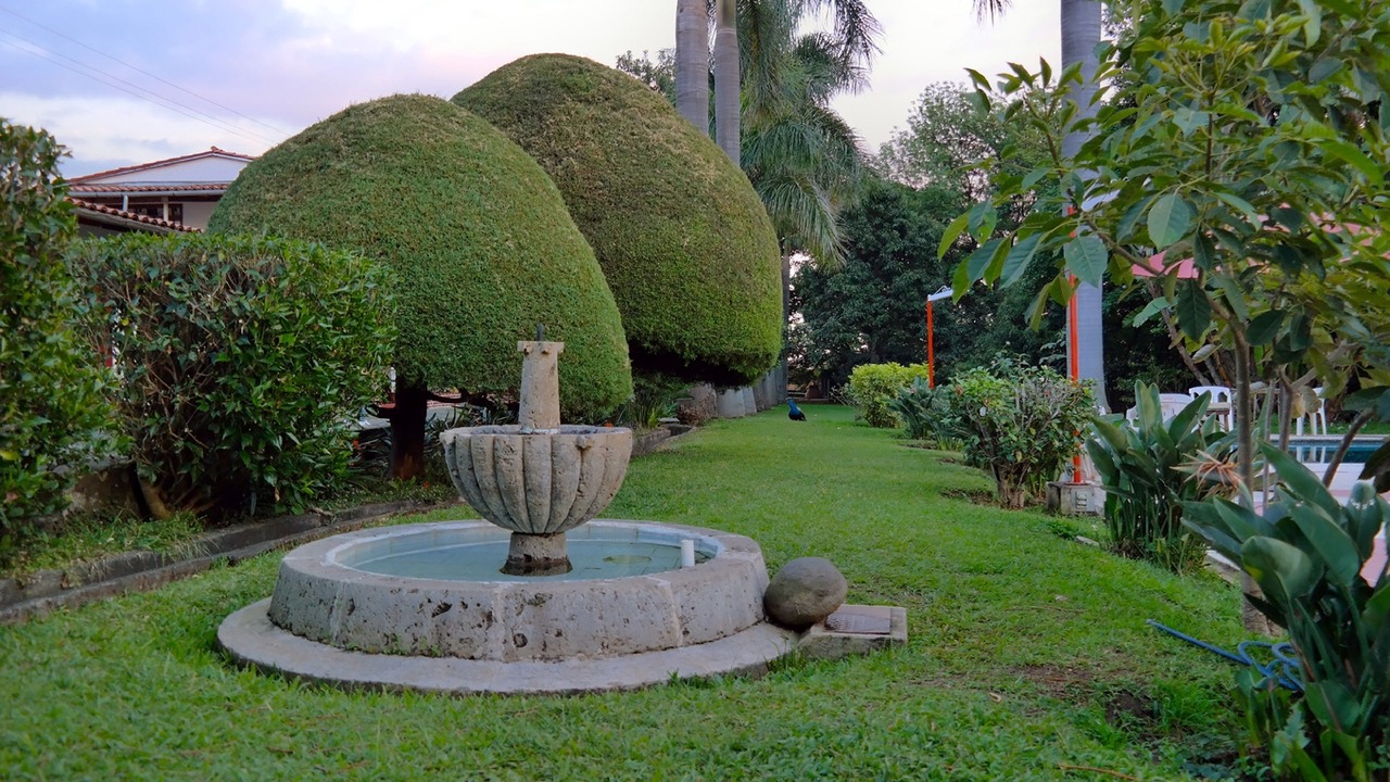 Photo of Outdoor in Centro