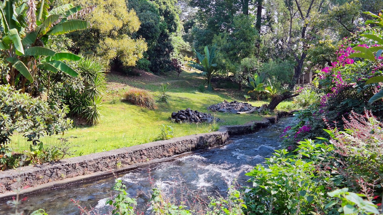 Photo of Outdoor in Centro