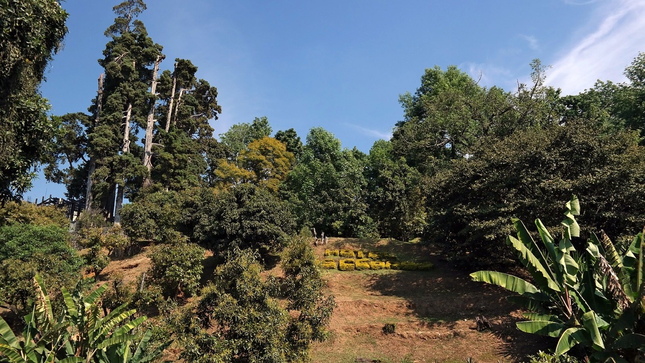 Photo of Outdoor in Centro