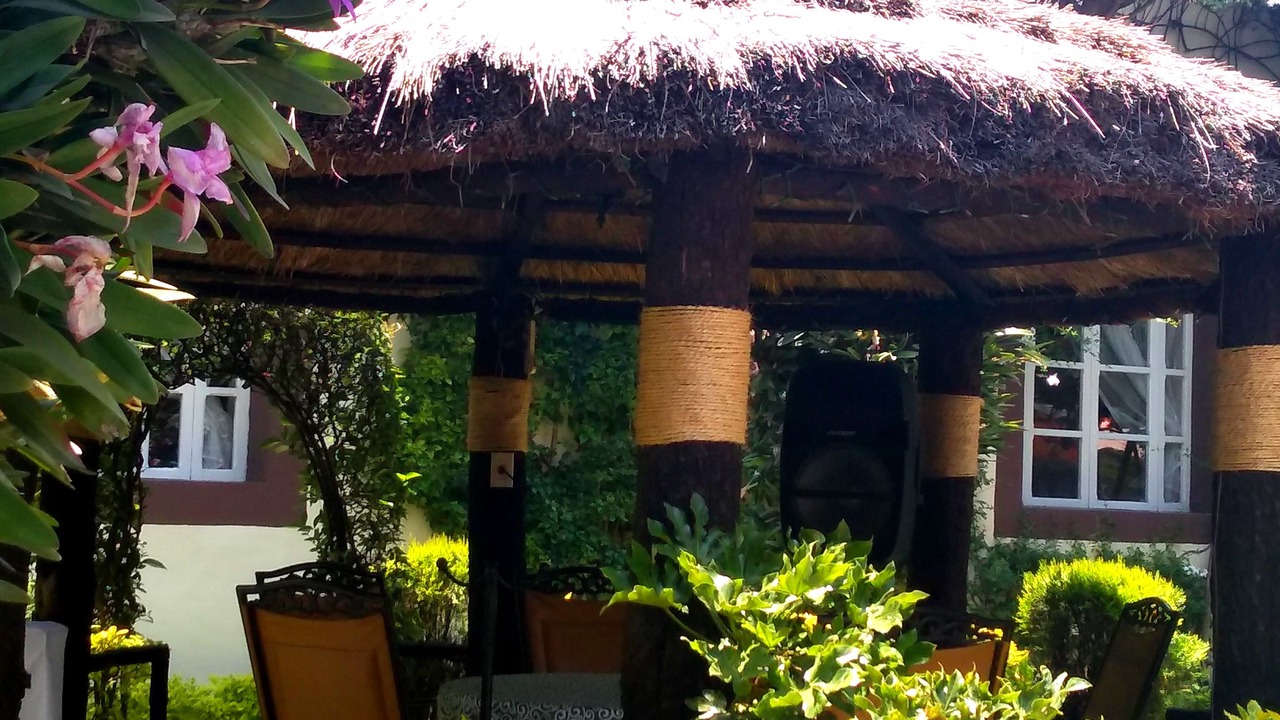 Photo of Outdoor in San Martin Texmelucan