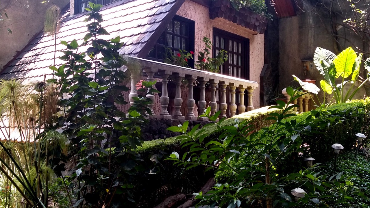 Photo of Outdoor in San Martin Texmelucan