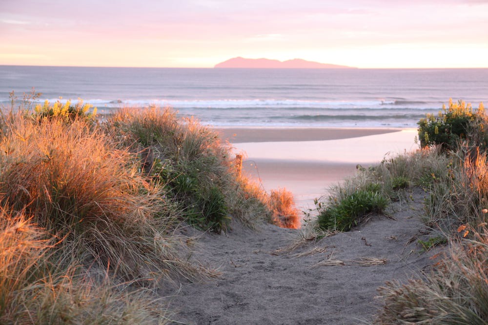 Photo of Others in Waihi Beach